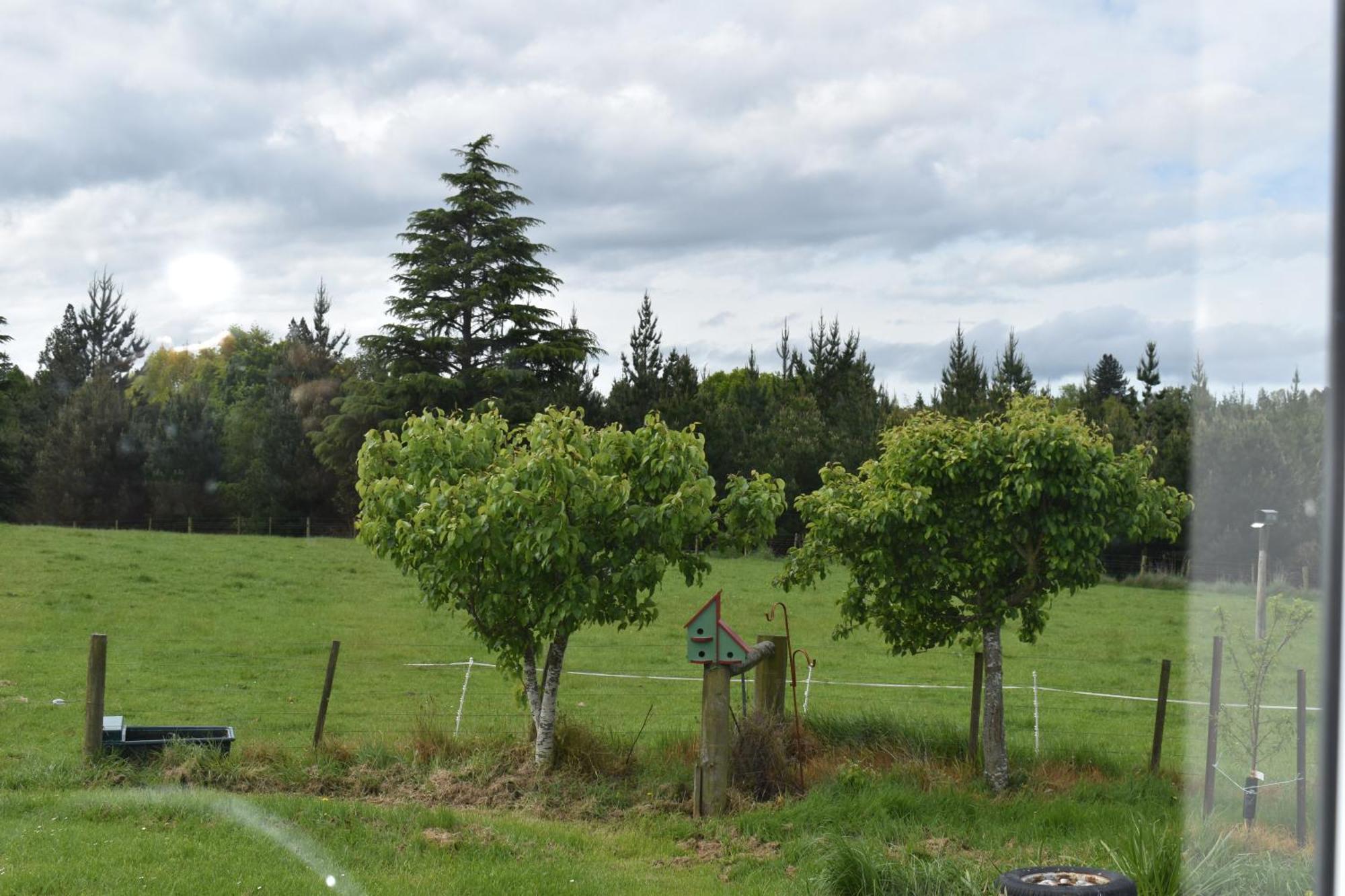 Bnb On Bakers Waimate Kültér fotó